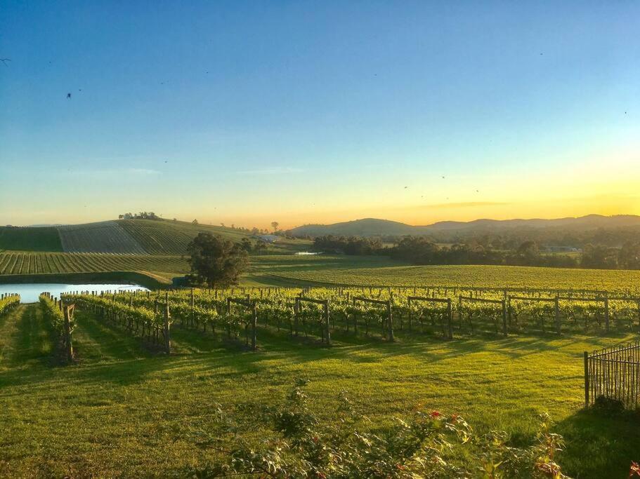Mount Hope Estate Vineyard Apartment Dixons Creek Exterior photo