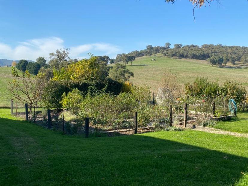 Mount Hope Estate Vineyard Apartment Dixons Creek Exterior photo